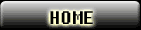 home button
